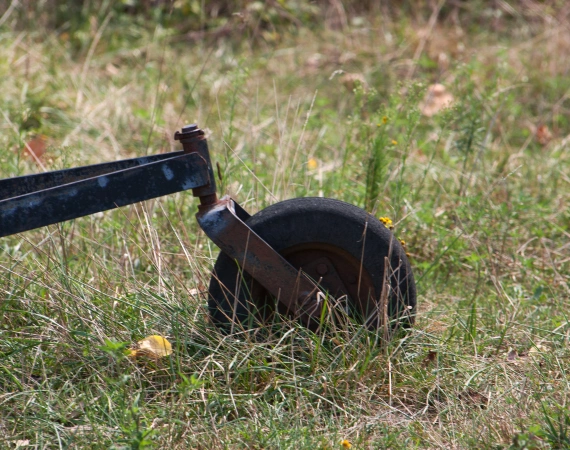 Brush Hogging & Mowing Services 1