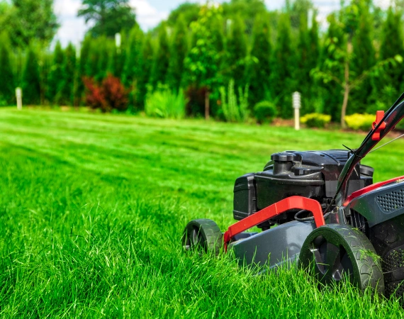 Brush Hogging & Mowing Services 2