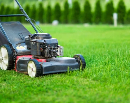 Brush Hogging & Mowing Services