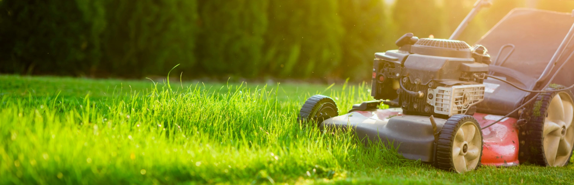 Brush Hogging & Mowing Services breadcrumb