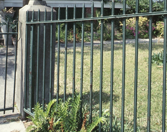 Fence Line Clearing 1