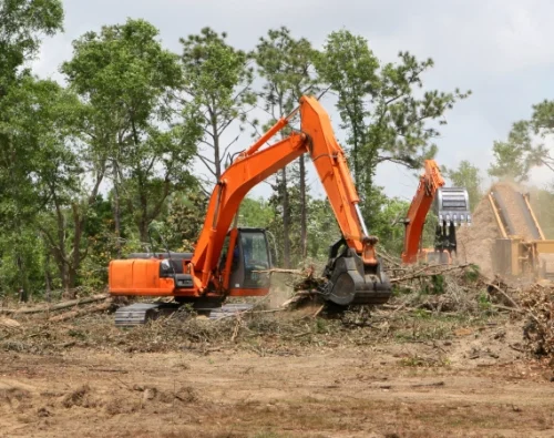 Land Clearing & Underbrush Removal