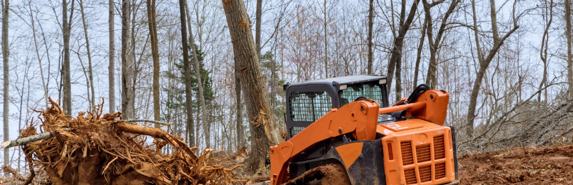 Land Clearing & Underbrush Removal breadcrumb
