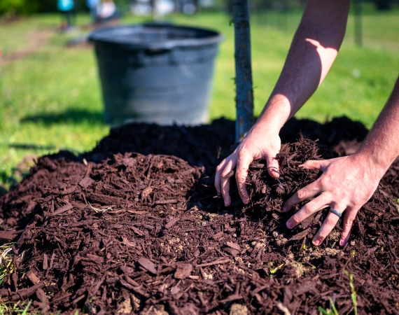 Mulching 2